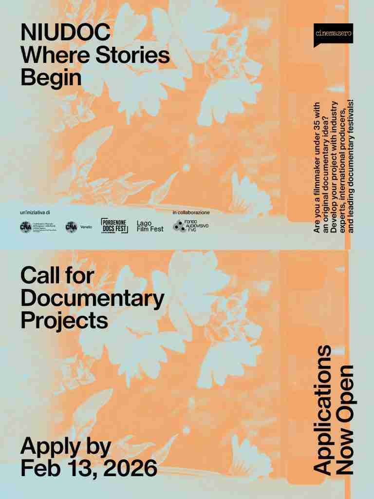 NIUDOC – Where Stories Begin – Call for Documentary Projects